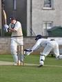 4leg side take by craig.jpg